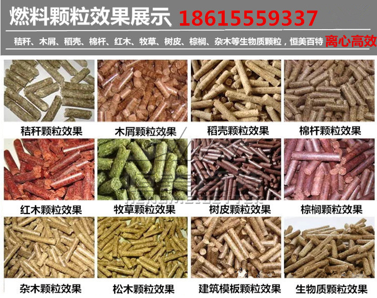 3257243867_2131437813_副本_副本