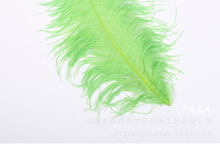 55-60果绿详情页面模板_15