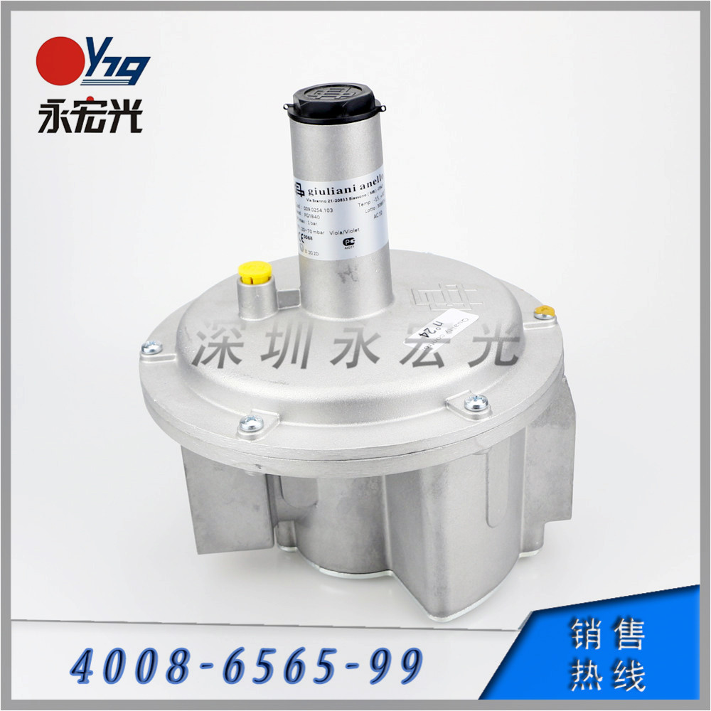 原装正品FG1B40意大利贵龙燃气调压阀