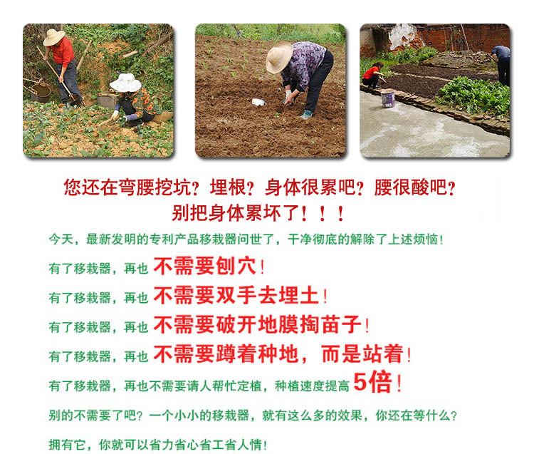 手动移苗器 瓜果蔬菜定植器 快速补苗栽苗机