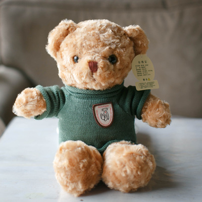 Suéter verde oso marrón