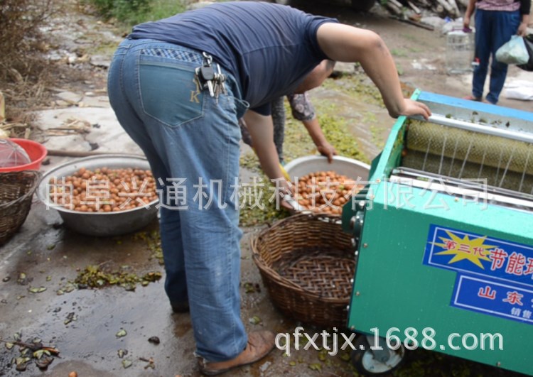 脱皮干净鲜核桃扒壳机 鲜核桃扒皮机 厂家定货电话