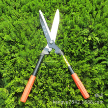 @ֹ߻hʼ ɫιܲƺ þG֦@ֈ@ˇ