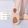 Dance shoes Female soft bottom men's practice shoes Children's dance shoes adult two cat paw shoes yoga shoes elastic cloth