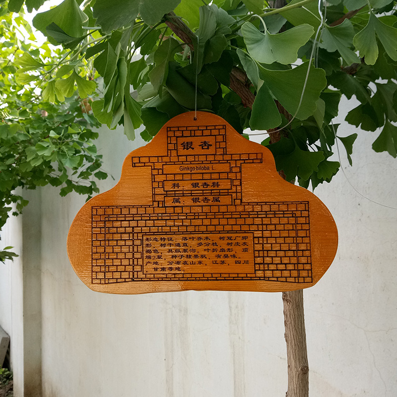实木植物挂牌定制 植物绿化标志识树牌 批发实木介绍广告牌