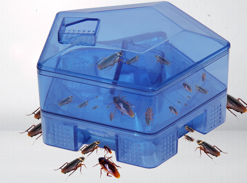 Cockroach Trap 10