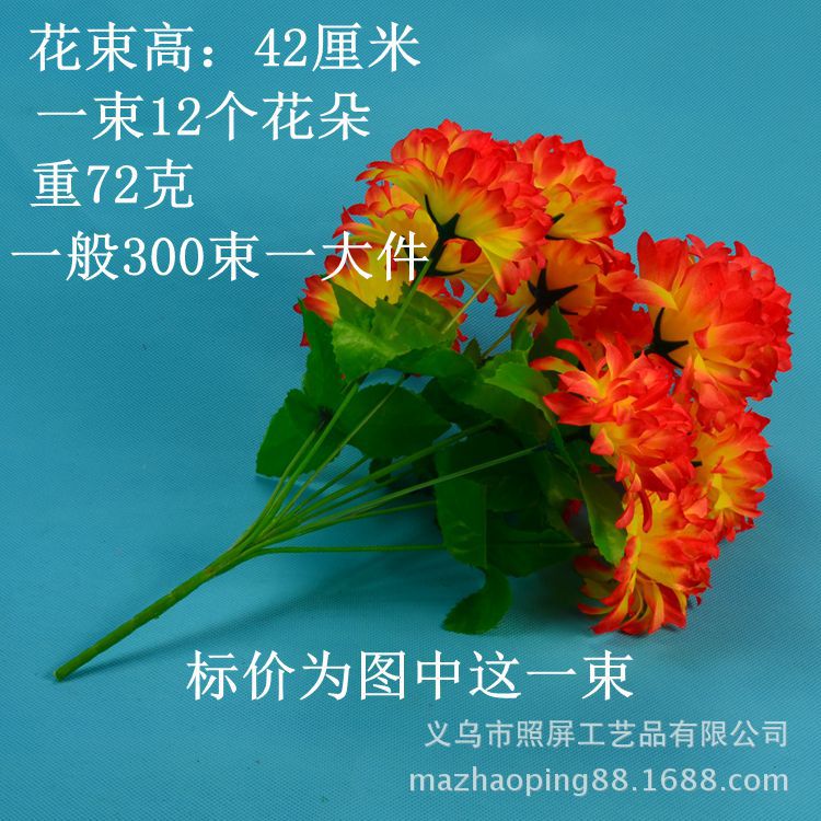 12头爪菊详情1