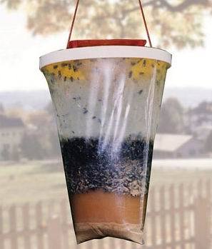 flies-be-gone-fly-trap-earthea