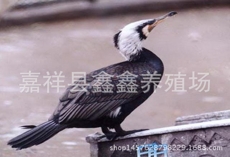 140_副本1