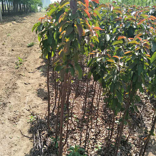 �������ăr�� ���N�G���������������� 2-5������������ ���󃞻�