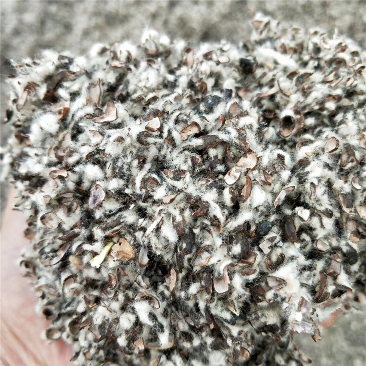 供应棉籽壳 蘑菇养植专用棉籽壳 食用菌用棉籽壳 质量保证|ms