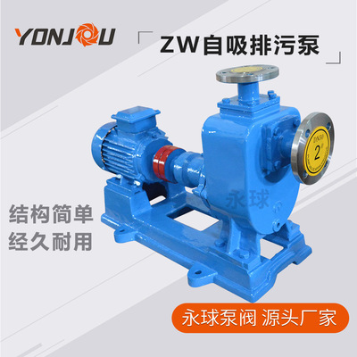 Permanent ball pump valve Self priming pump impeller Anti blocking design Ensure Block Sewage pump 80ZW-40-16