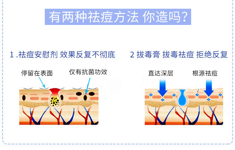 狮王6