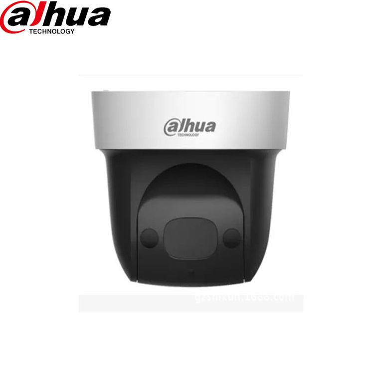 大华2寸min球200万高清网络智能球机光学变倍4倍DH-SD2904-GN