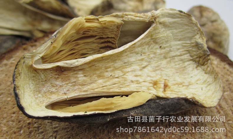 2967126704_1766974570