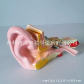 数理教学器材;酒精灯;生物教学器材
