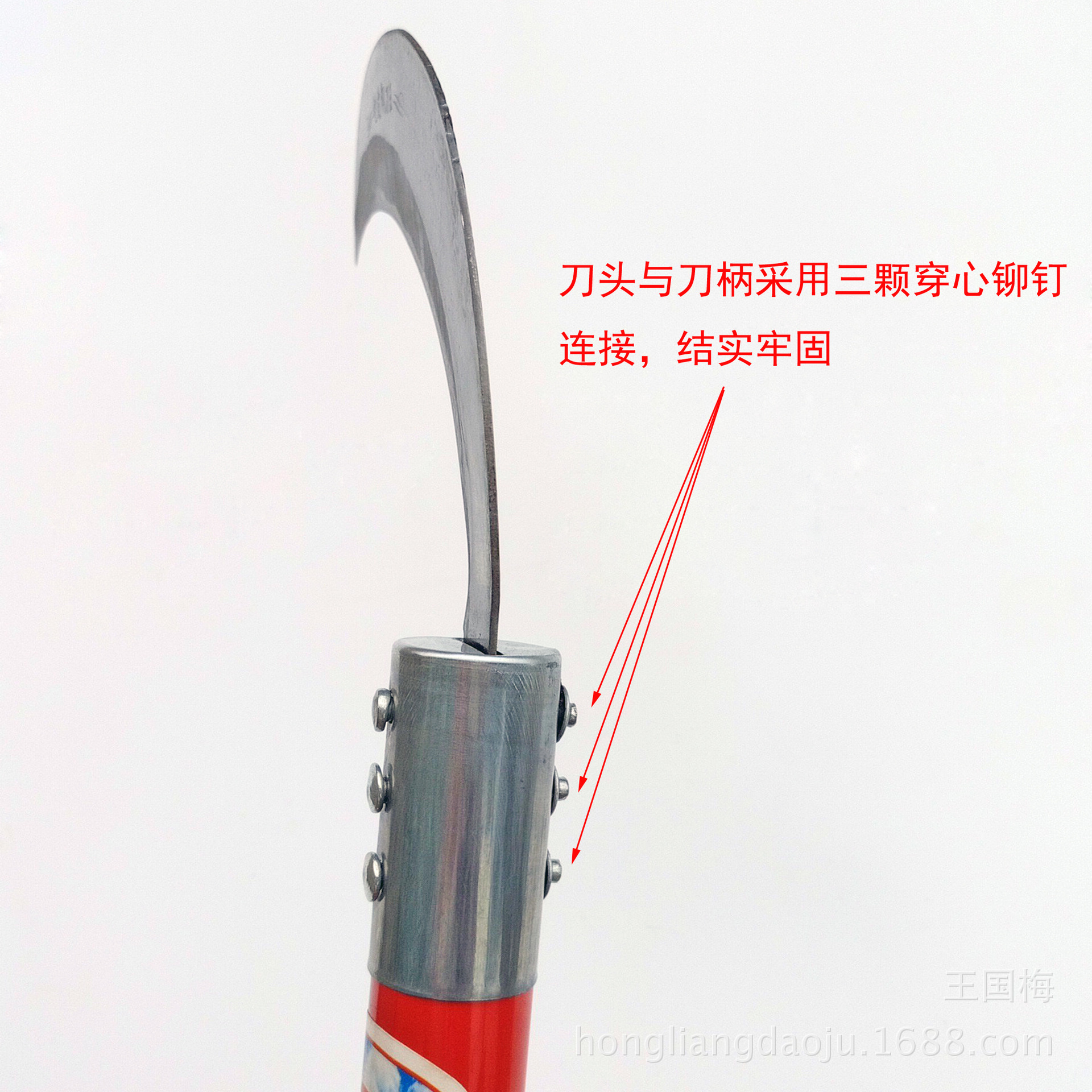 IMG_20170716_145131_STEREO