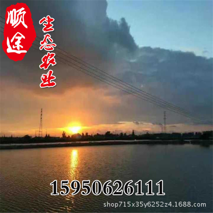 J)B6DT0@MQUC49R}]@~~_FR