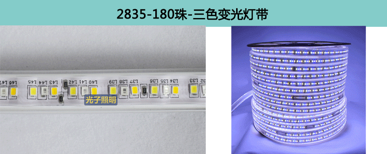 光子照明5050线性灯条5730 rgb柔性亮化贴片led 220v防水高压灯带详情50