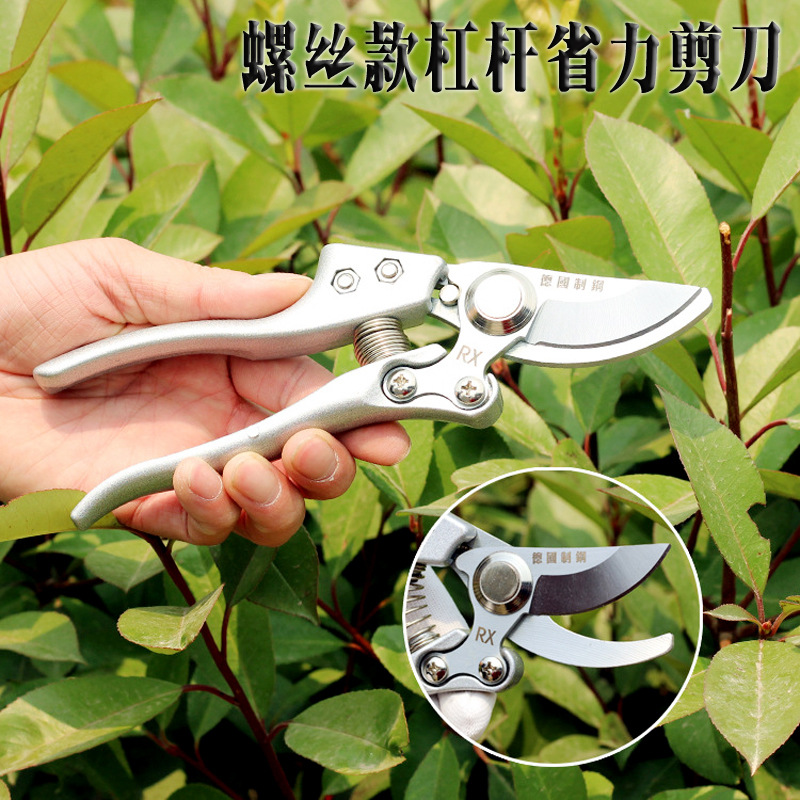 4268132224_288799623