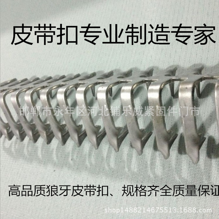 Belt stainless steel