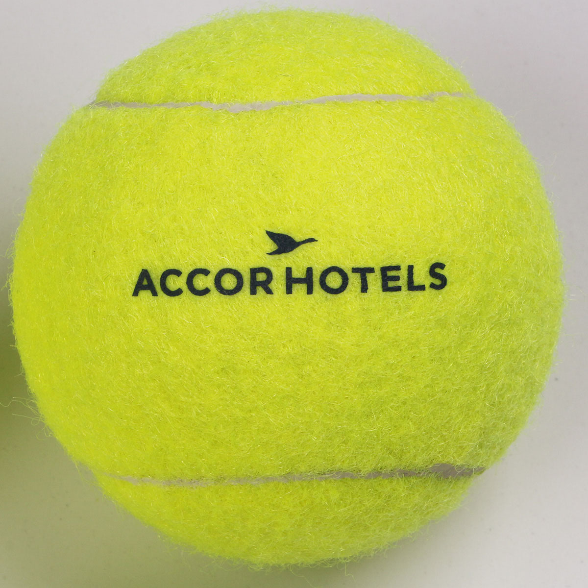 厂家定做白色印刷 多色LOGO宠物诊所广告高质量环保宠物用网球|ru