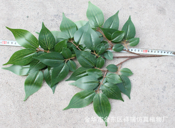 XRB-168涓冨瓙鑺卞彾涓夊弶鏋??