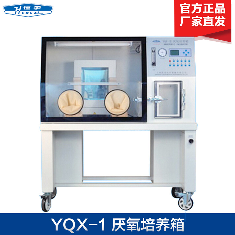 上海跃进HYQX-I  HYQX-II  厌氧培养箱 实验室厌氧箱