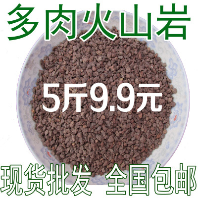 多肉植物配用土 天然火山岩 火山石 排水透气铺面垫底3-6mm批发|ms
