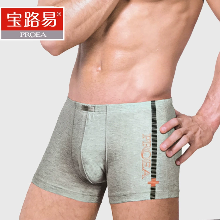 Underwear , штаны для учащихся начальных классов, прочесанный хлопок