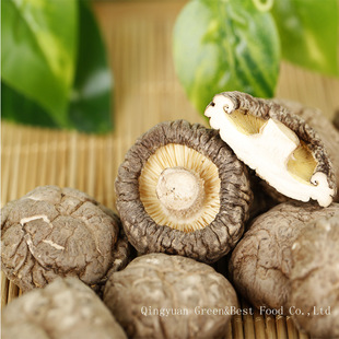 ���㹽���l  �cԪ���㹽