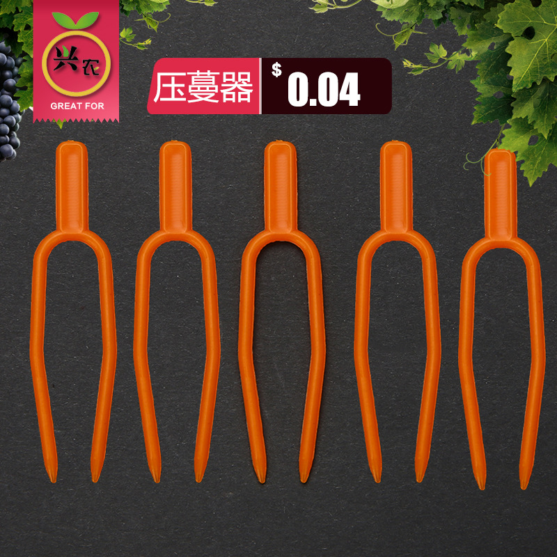 匍匐茎固定夹，压蔓器，草莓定植器，定植叉 ，园艺压蔓夹|ru