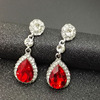 Fashionable shiny crystal earings, earrings, universal accessory, wholesale