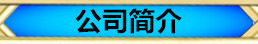 公司简介