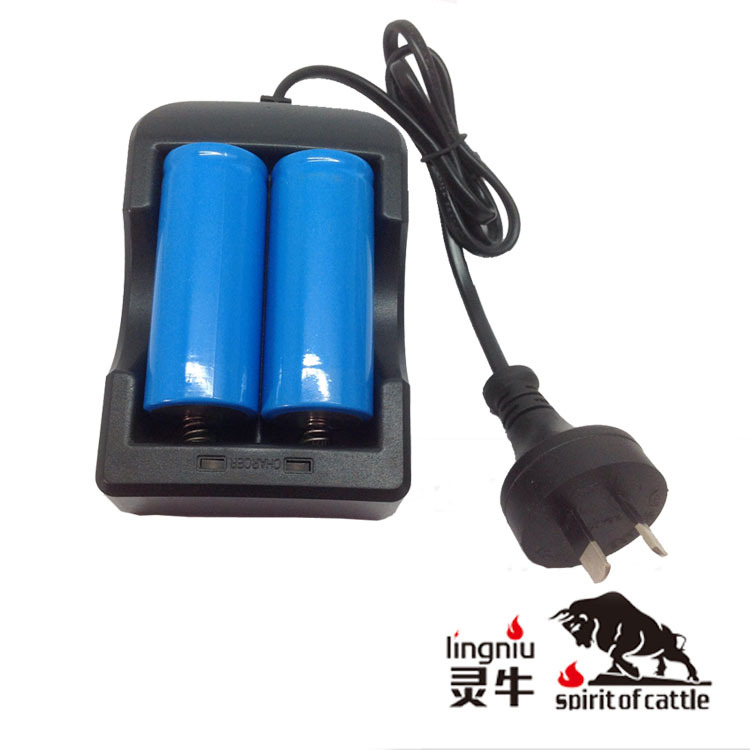 26650澳规 CE C-CITK认证 4.2V1A18650 16650充电器 工厂直批