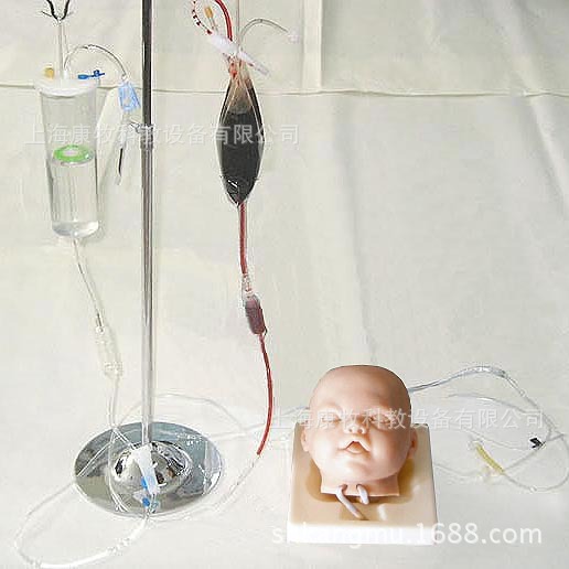 高级婴儿头部双侧静脉注射穿刺训练模型