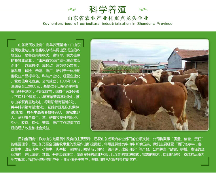 牛详情页_02