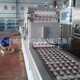 全自动拉伸真空包装机-自动制袋真空包装机 高产量真空包装机