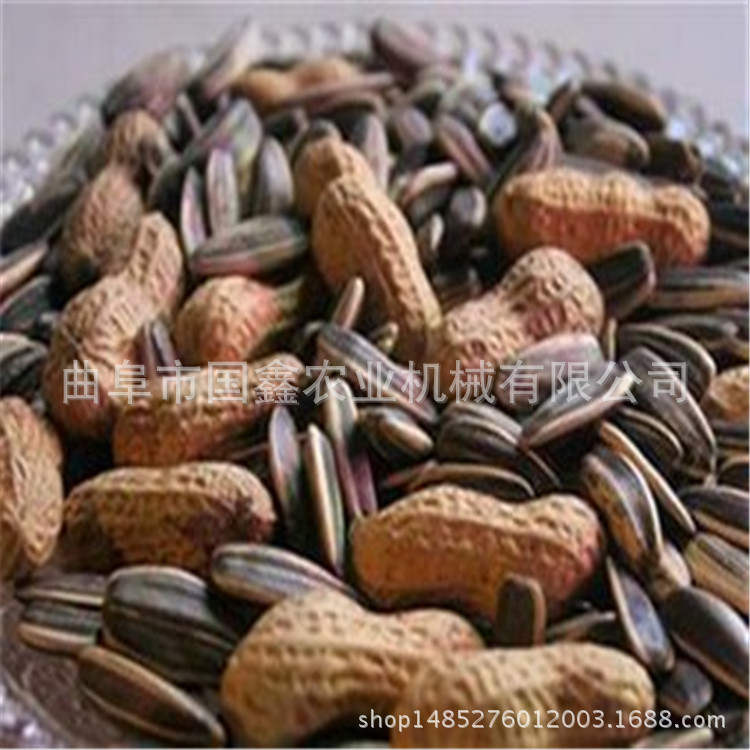 泰州大型电热炒货机 大型花生烧烤机