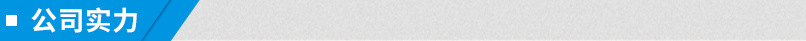 公司实力