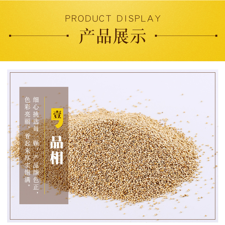 White Quinoa Grain Low Temperature Baked Tri Color Quinoa Rice Wholesale Bulk quality and texture