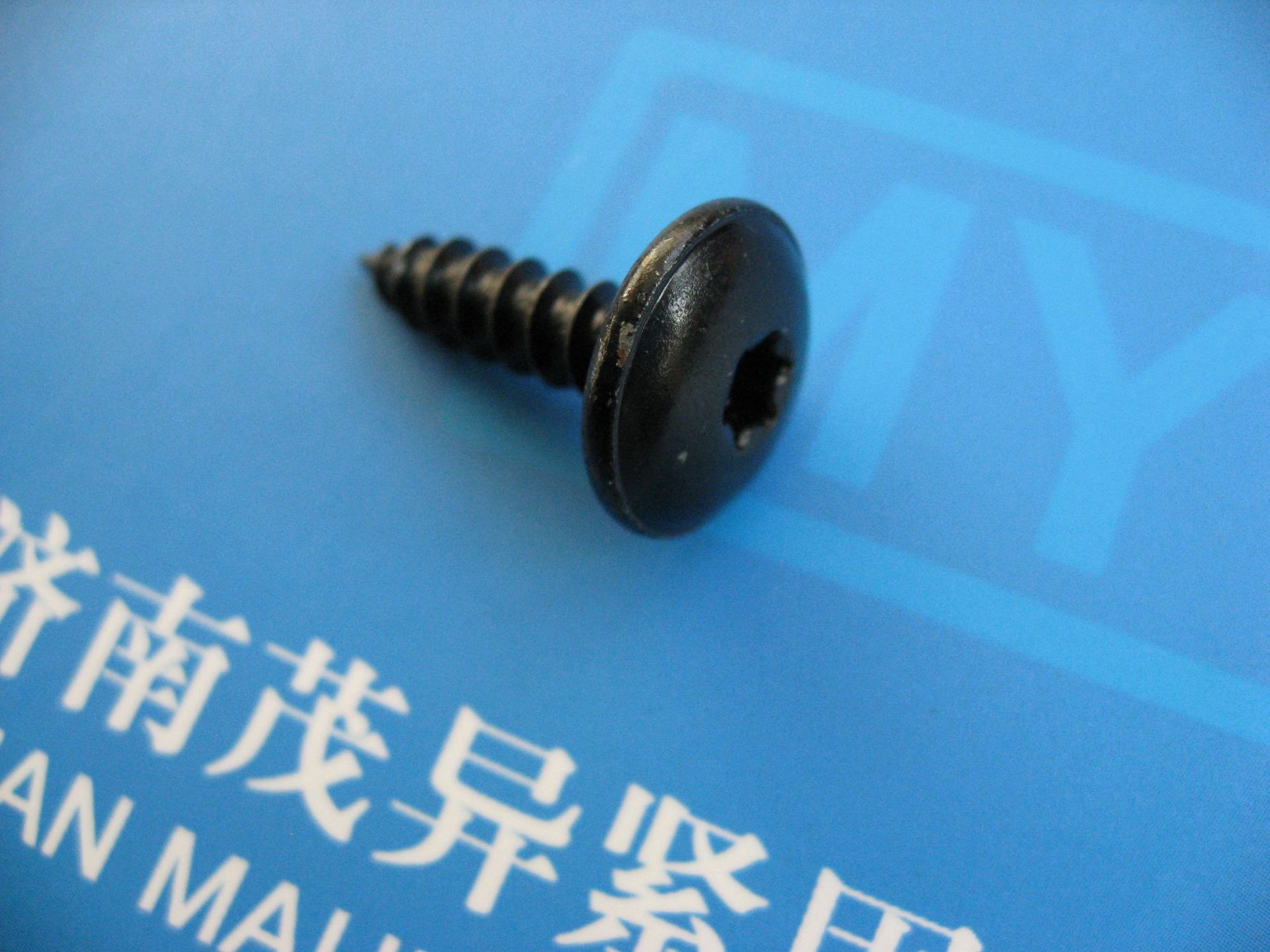 梅花孔大扁头自攻钉ST5.5*19