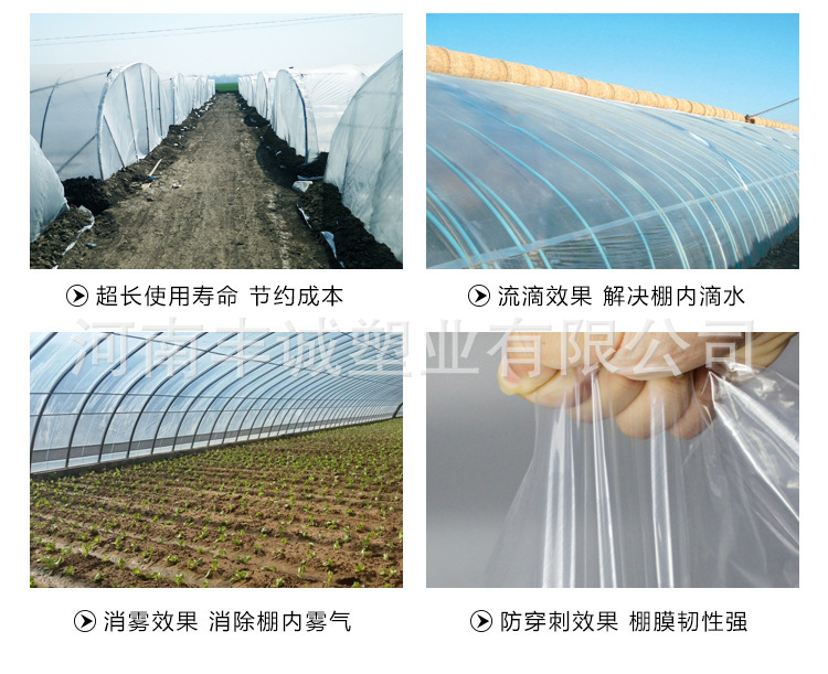 3264290732_1731511472