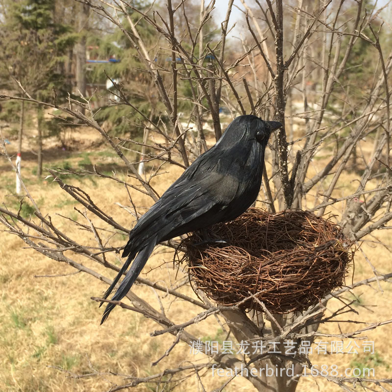 仿真小乌鸦 黑色乌鸦道具 羽毛鸟 万圣节鬼节用品 圣诞节装饰