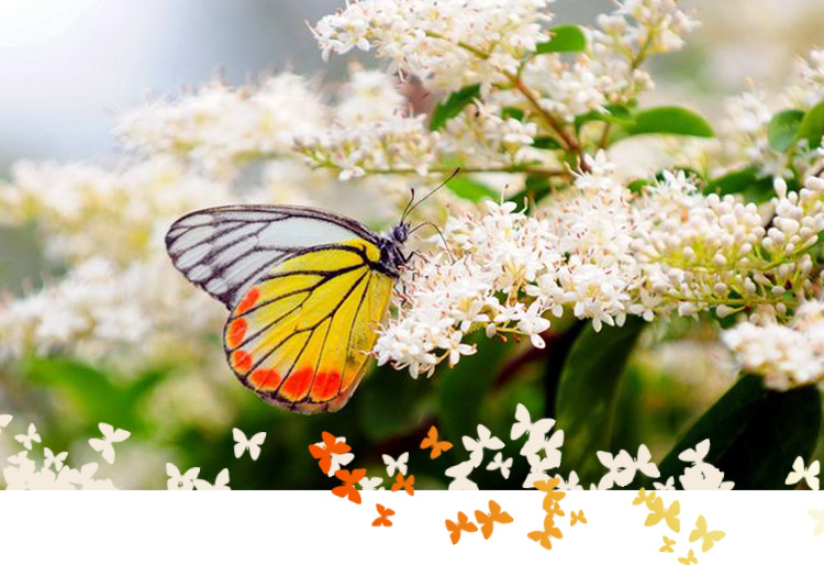 夜光10公分-阿里详情页_01