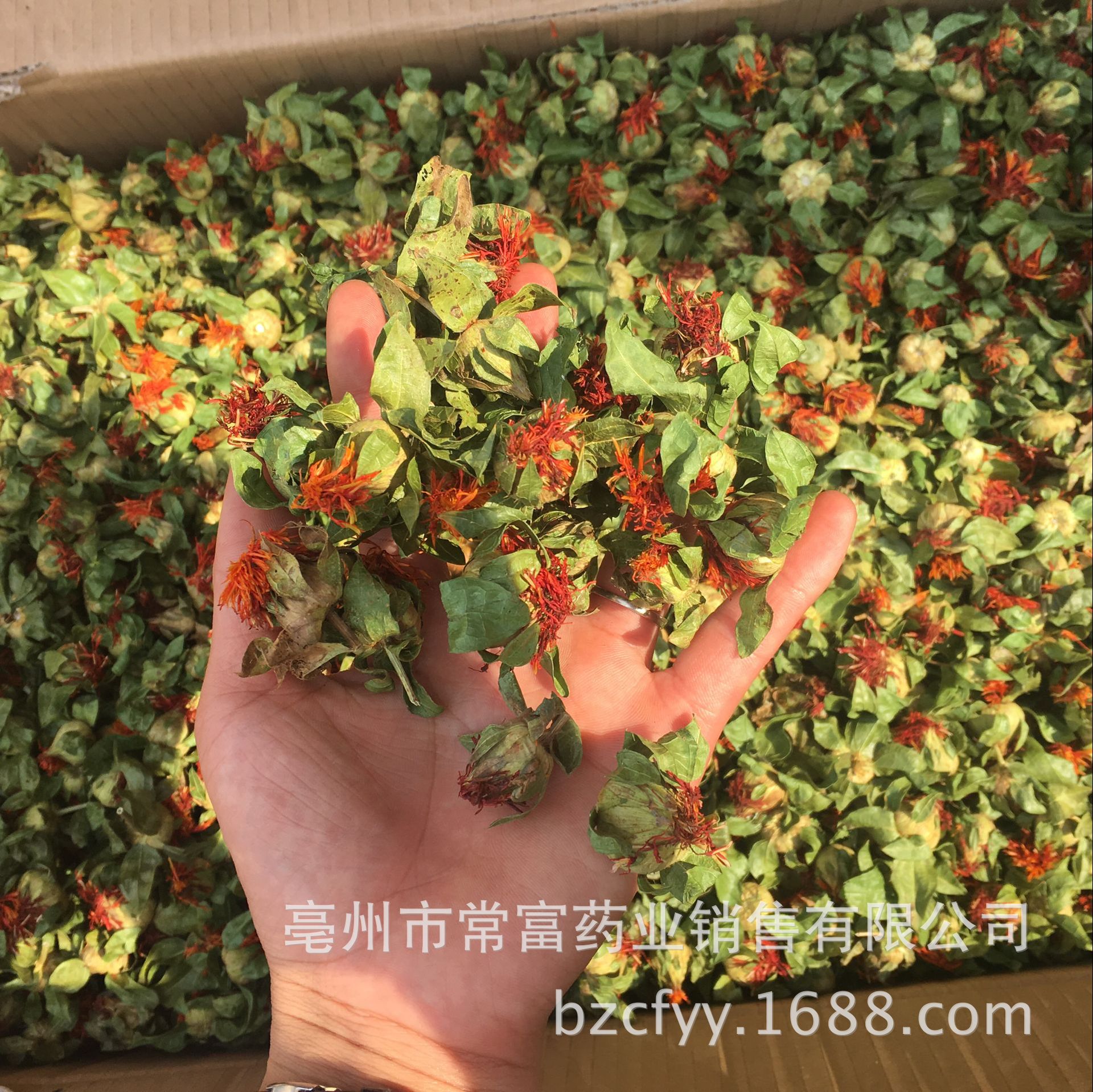Safflower Ball Cheng Bo Luo Herbal Flower Tea Loose Dried Botanical for Traditional Infusions quality and texture