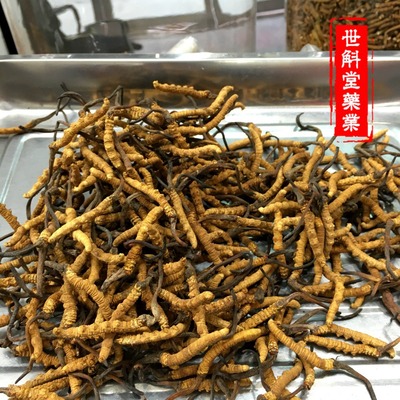 selected Tibet Nagqu Cordyceps wholesale 5 gram Orthodox school Off the grass 2020 New grass