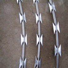 ������Ƭ���K�S�����a����\��Ƭ�̾W �gӭ��ԃӆُ�ߏ���