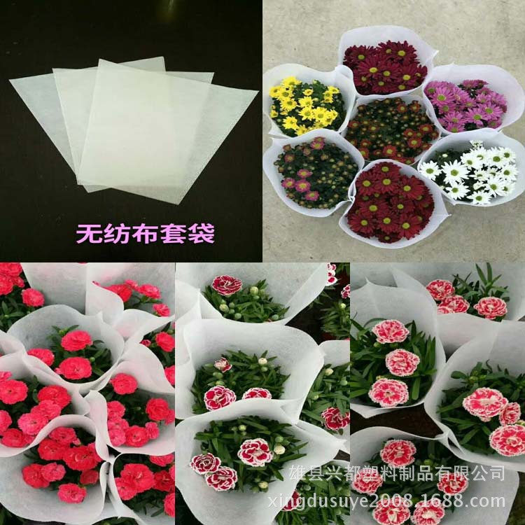 552612194045132447 - 副本