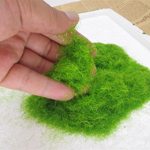 5MM�ݷۼ�ɽ�٘��ʯ�^����ֲ�q����̦�۷�����ݻ���������l